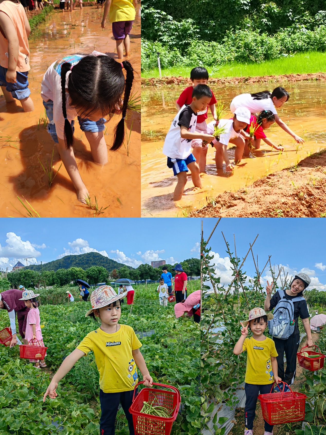 C:\Users\ADMINI~1\AppData\Local\Temp\WeChat Files\4b51b60bccf88b83657018c26219392.jpg